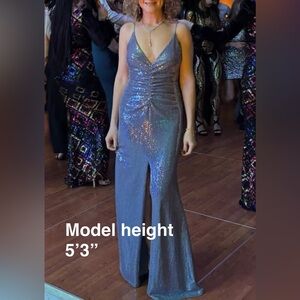 Camille Lavie Sparkling Purple Silver Evening Gown sz S